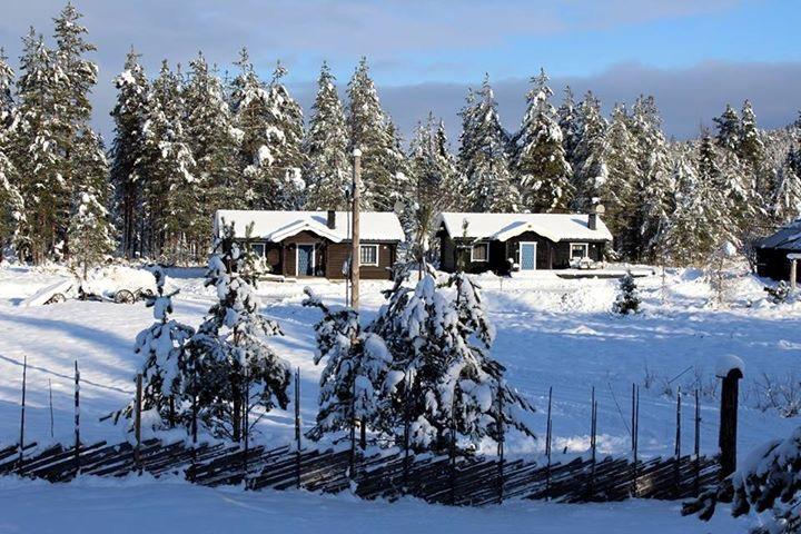 Nymon Mountain Lodge Stöten Extérieur photo